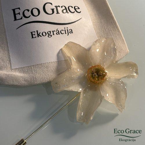 Piespraude Narcise Piespraude Narcise