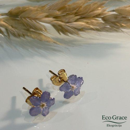 Neaizmirstulītes Neaizmirstulītes